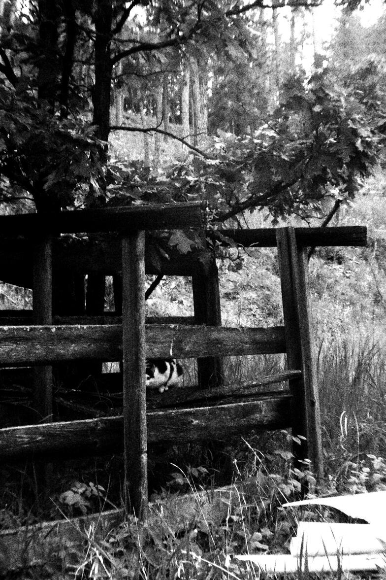 Watching and &#39;Hiding&#39;