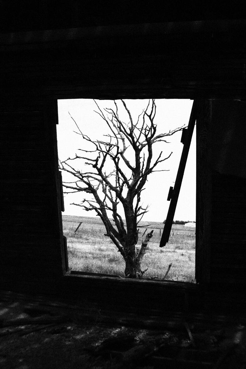 Picture Frame